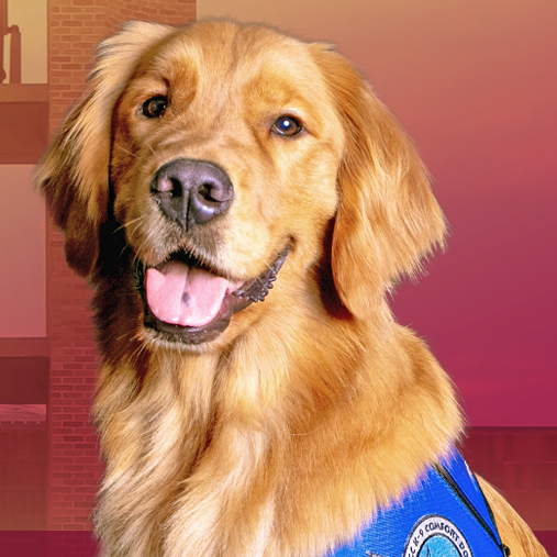 Image for event: Paws to Raed: Caleb the Comfort Dog 